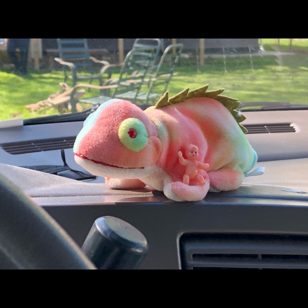 Meet your Posher, Julieta